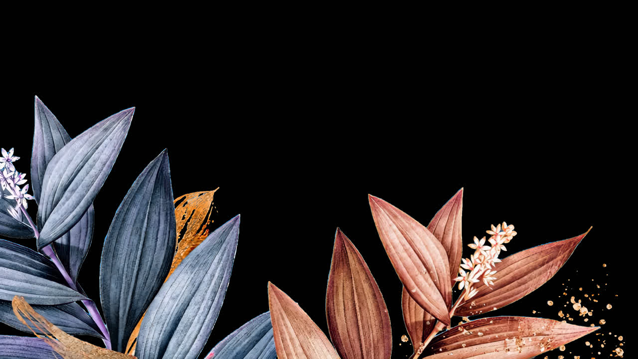 Elegant botanical leaves design animation isolated asset, transparent 4K video, alpha channel