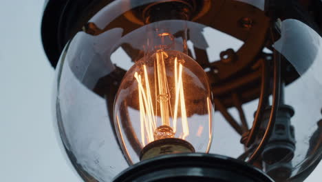 close-up of an edison light bulb