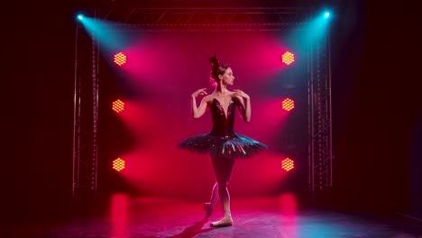 Graceful ballerina in a chic image of a black swan 2023 11 27 04 54 37 utc.mov | art, background, ballerina, ballet