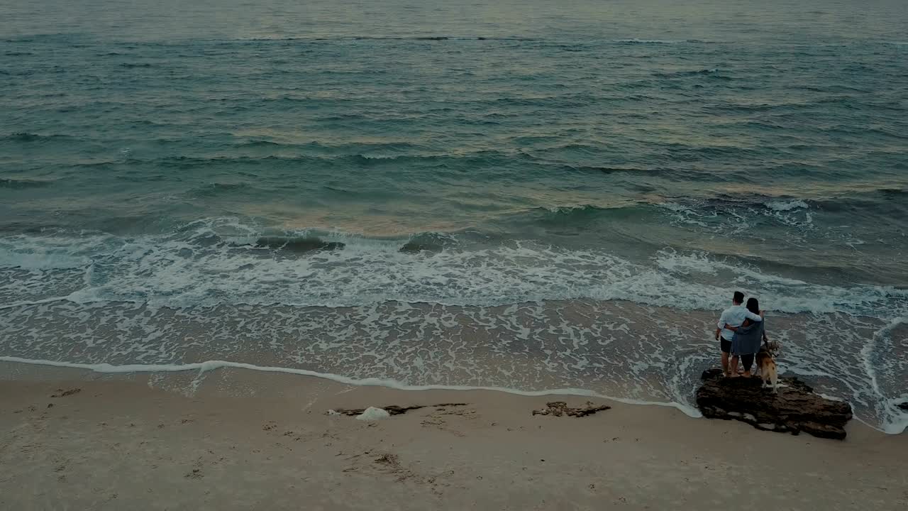 허스키 강아지 와 함께 해변 을 고 있는 젊은 행복 한 부부 의 공중 광경