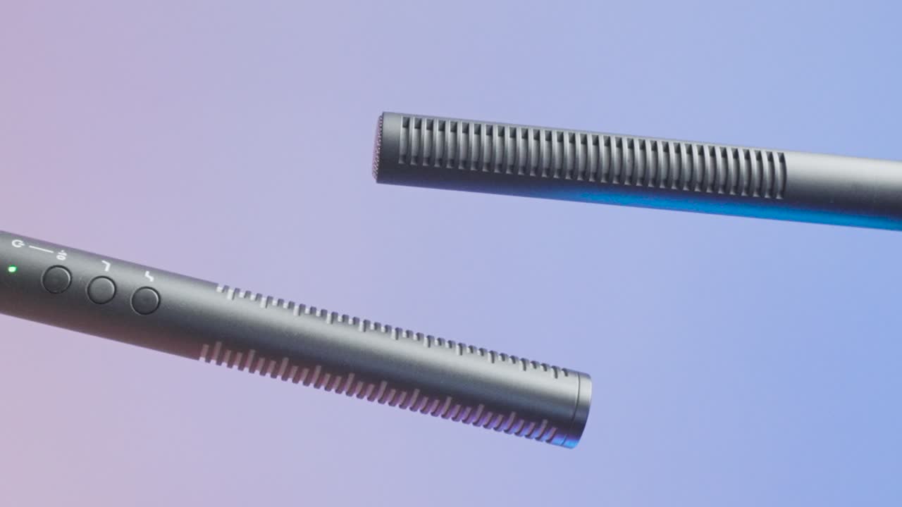 dos micrófonos de escopeta