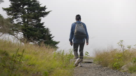 Back-Shot-of-Woman-Hiking-along-Mountain-Trail-in-Beautiful-Landscape-on-Cloudy-Overcast-Day-in-Tennessee