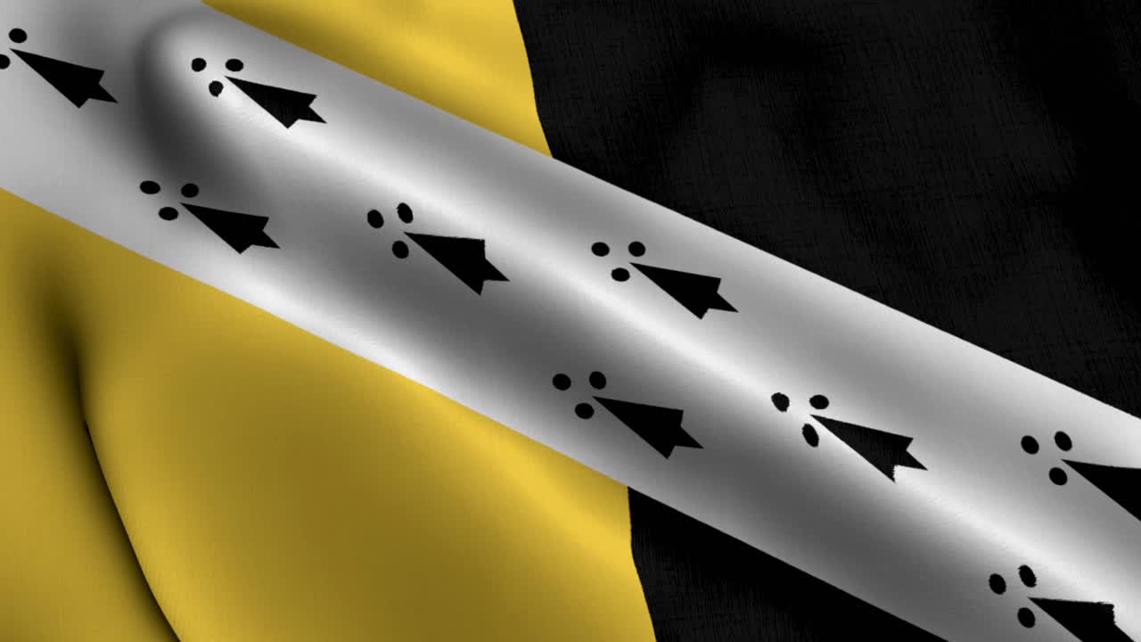 bandera de la ciudad de norfolk