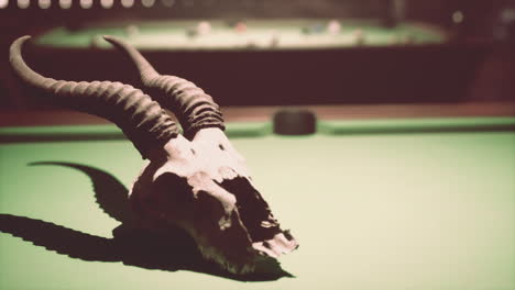 animal skull on a pool table