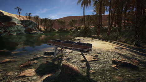un oasis tranquilo en el desierto