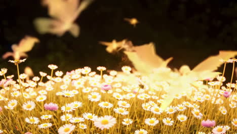 fairy butterflies in a field of flowers