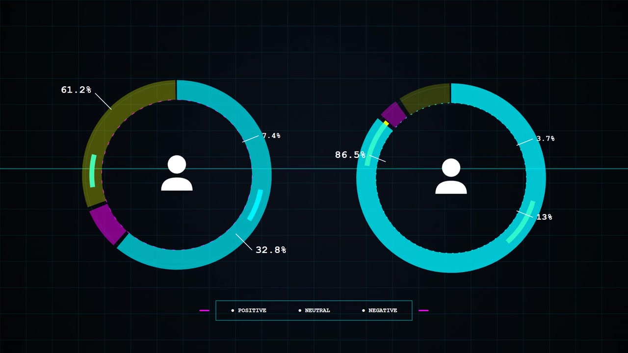 Animated Data Visualization of User Sentiment Metrics