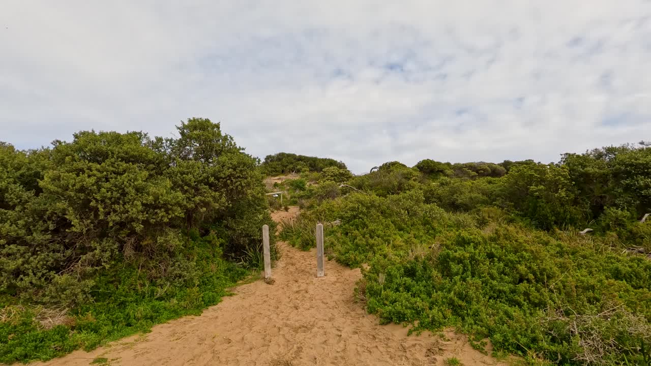 Ampia inquadratura fissa di un cartello di sicurezza per la spiaggia e di un sentiero sabbioso attraverso la macchia costiera