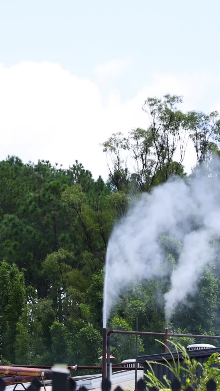 Una densa columna de humo blanco se eleva de una ventilación de tejado contra un telón de fondo de bosque.