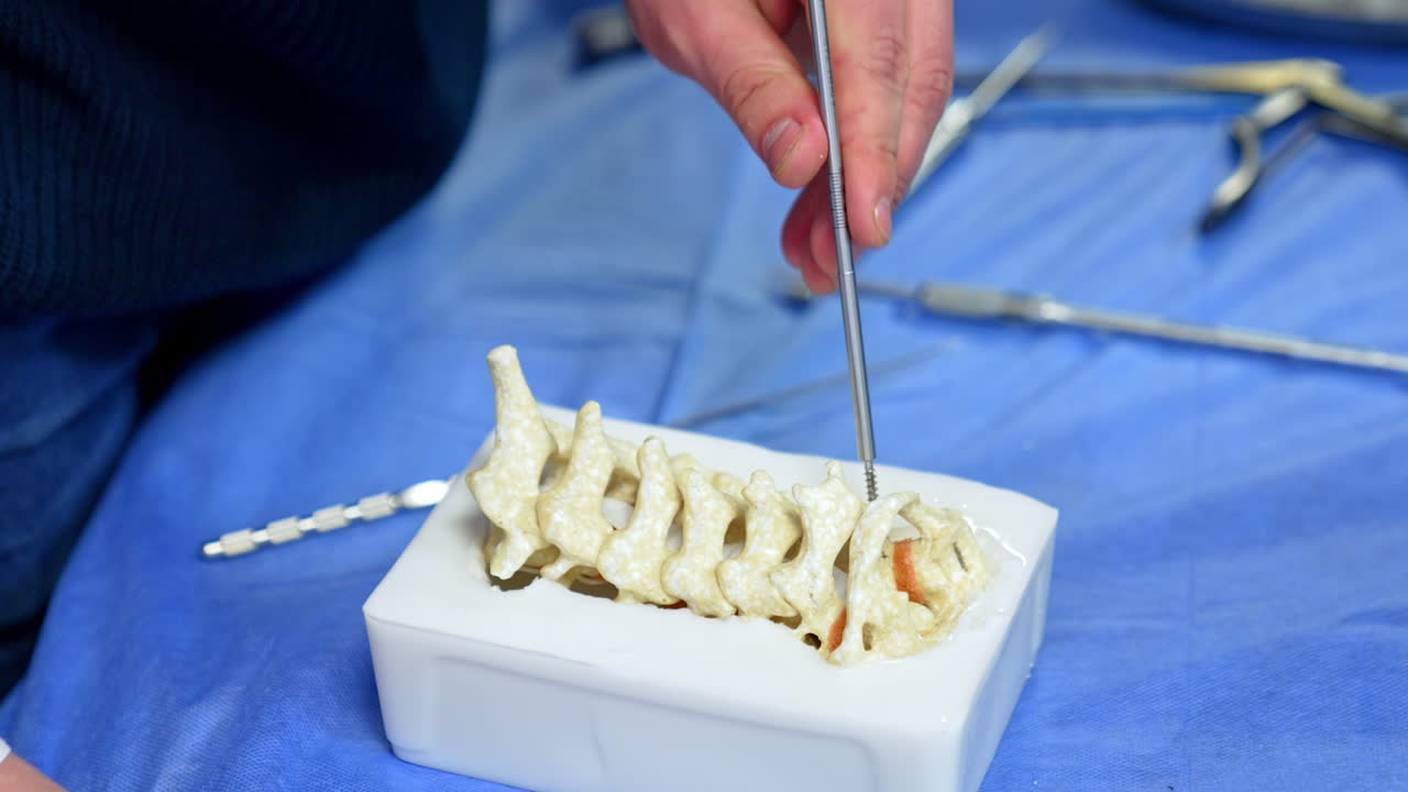 Male hands hold a long metal tool with a screw nozzle putting it between the bones of spine model. Neurosurgery practice in progress. Close up.