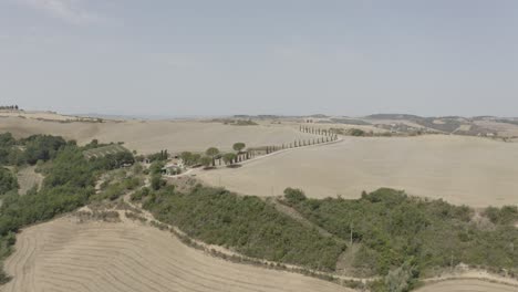 Toscany,-Italy-2022,-dry-Italian-wine-fields-in-the-middle-of-countryside-during-summer