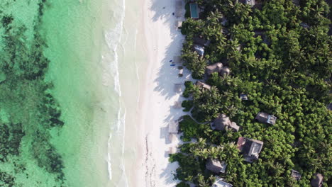 Aerial-top-down-shot-of-cabins-and-huts-surrounded-by-palm-trees-in-a-white-sand-beach-with-crystal-clear-water-in-Tulum,-Mexico