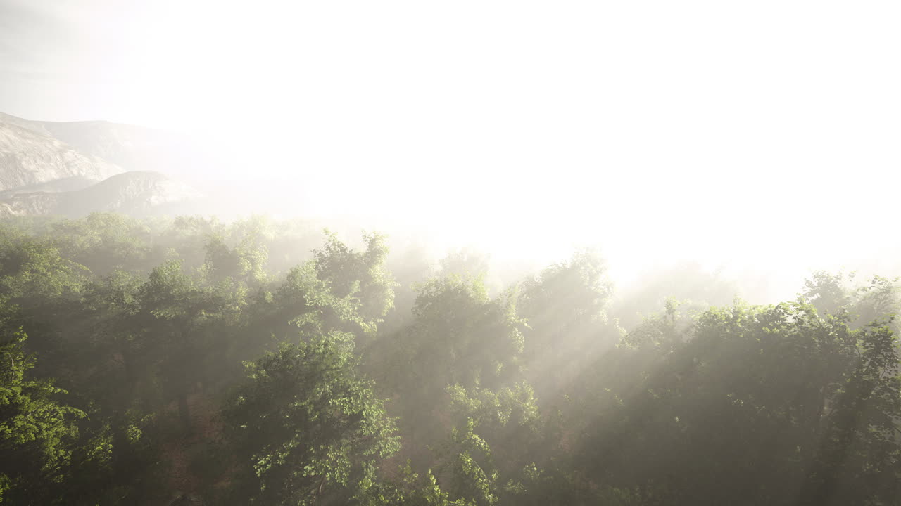 산악 열대 열대 우림 의 공중 조망 드론  ⁇
