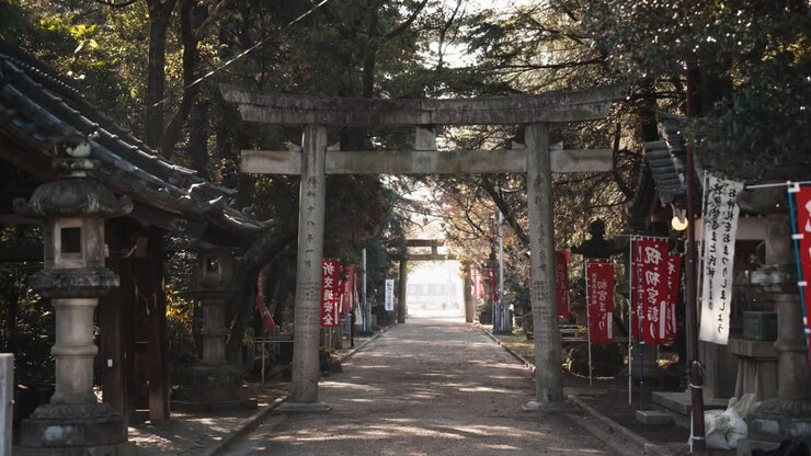 Portali Torii all'Oyama Ryokushi Park a Takahama City (Aichi, Giappone)