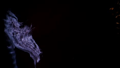 shimmer forces who lurk on the right motivate the delicate creature on the left to crawl up and up -  for more, search  "abstractvideoclip" using the quotation marks