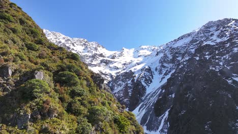 Aerial-reveal-over-lush-native-vegetation-to-snow-capped-mountain-range,-New-Zealand