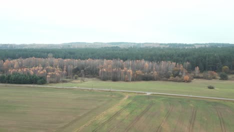 aerial: plains with forest and empty road in background