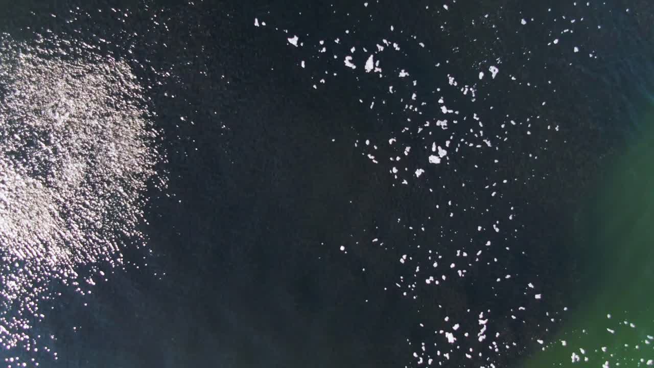 해수면과 물고기 떼의 조감도, 태양은 물에 반사된다