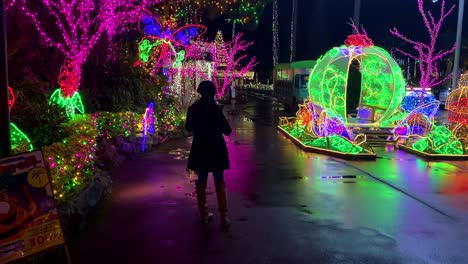 4khd navidad 2020 jardín botánico okinawa japón-18