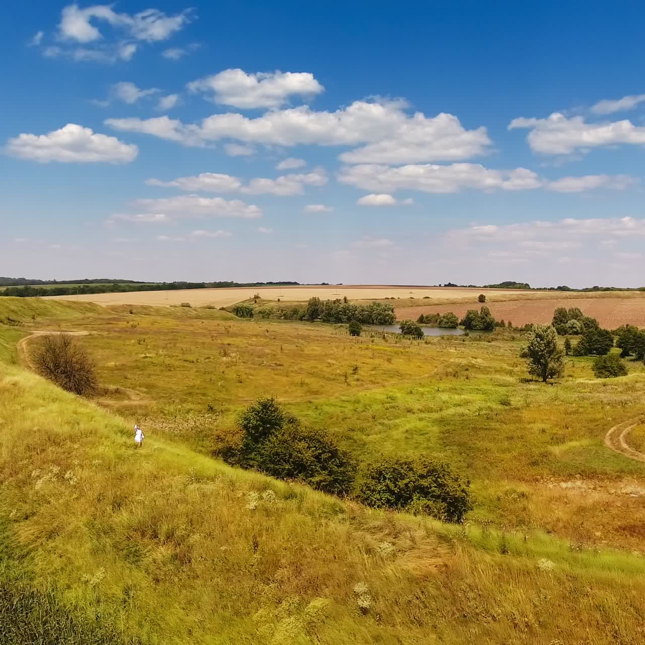 Woman in white dress walks along the hill. Sunny meadow bordering with farmlands. Bright blue sky with white clouds at backdrop