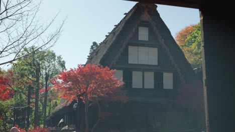 shirakawa-go aldea tradicional en japón durante el paisaje de otoño