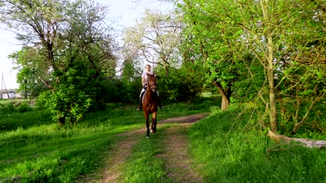 spring, outdoors, girl rider, jockey riding on thoroughbred beautiful brown stallion, through old blossoming apple orchard. horse running in blooming garden. stedicam shot