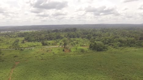 Vista-De-Tierras-De-Cultivo-En-Lugar-De-Selva-Tropical