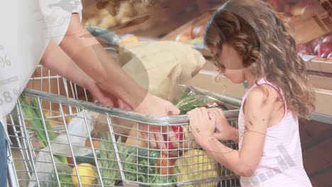 financial data processing against mother with her daughter shopping in grocery store