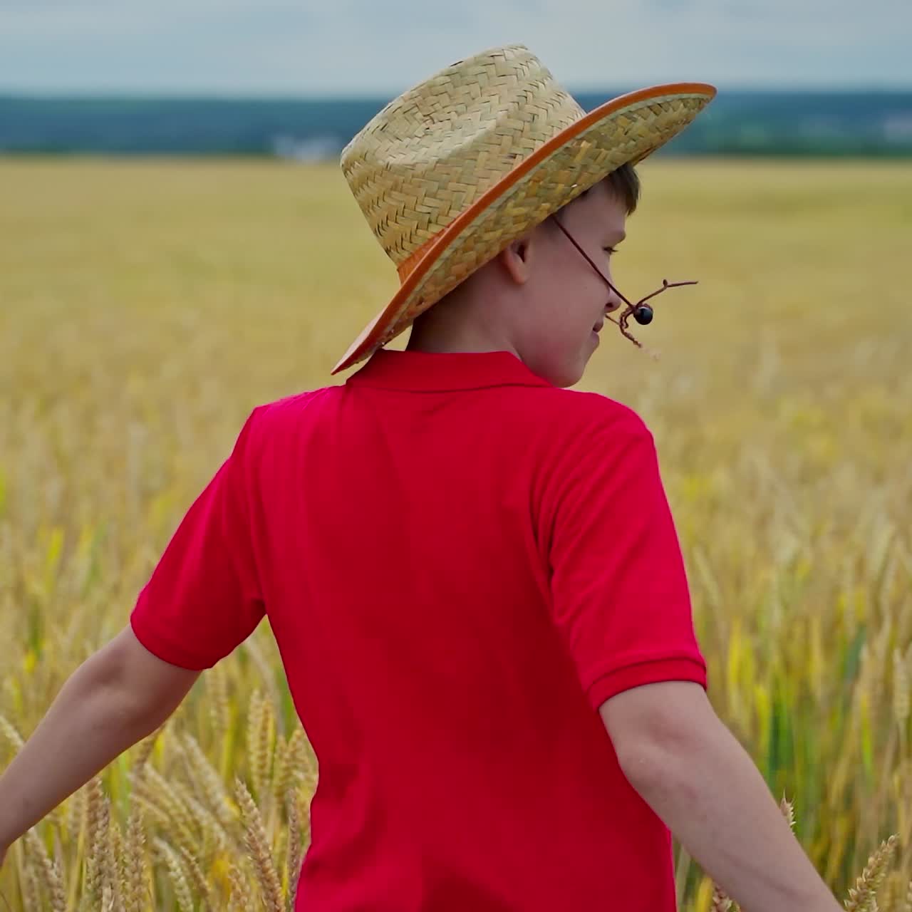 Boy in field of wheat