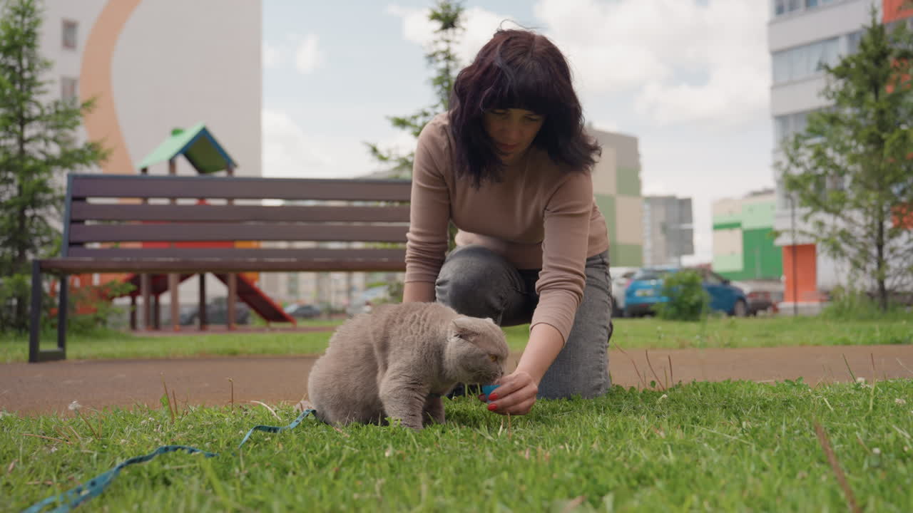 Woman With Cat, Woman Sitting Outdoors With Her Pet Cat, Lady Enjoying Fresh Air Alongside Her Beloved Feline Companion, Woman Spends Quality Time Outdoors In City Park With Her Pet Cat