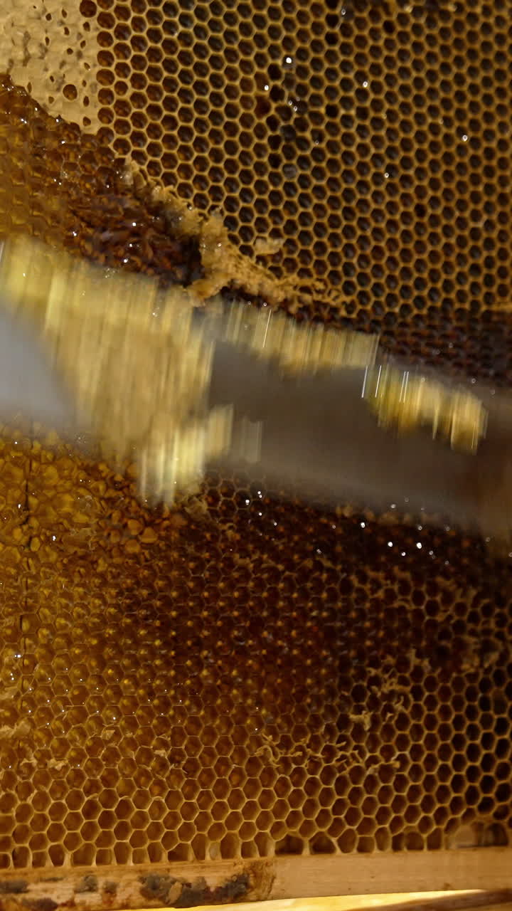 Beeswax organic honey farming. Wooden beehive wax harvesting. Vertical video