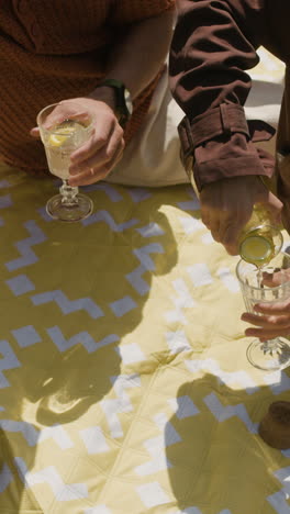 picnic with refreshing drinks