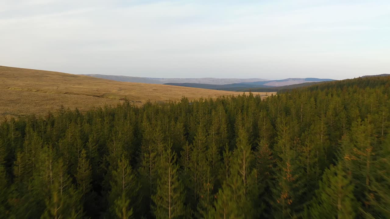 Aerial Drone Shot Of Forest In Green Nature And Mountains, Scotland