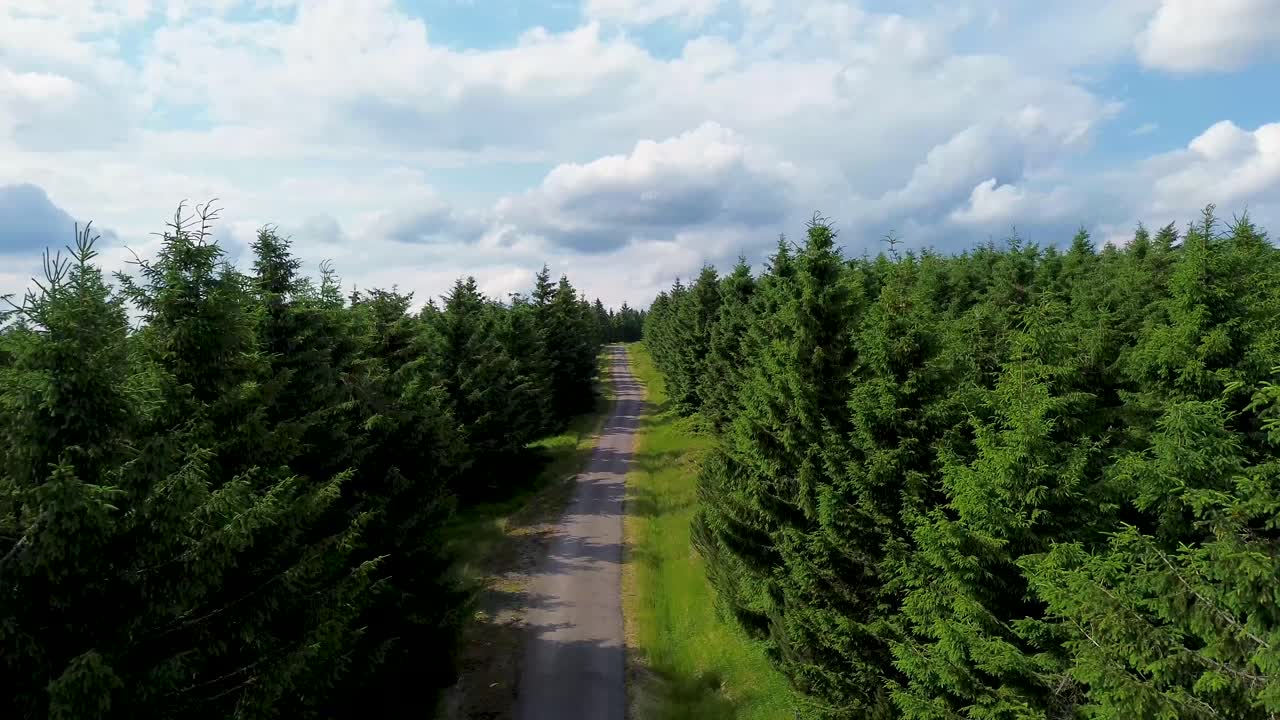 Drone view flying over trees and mountain road with rising angle
