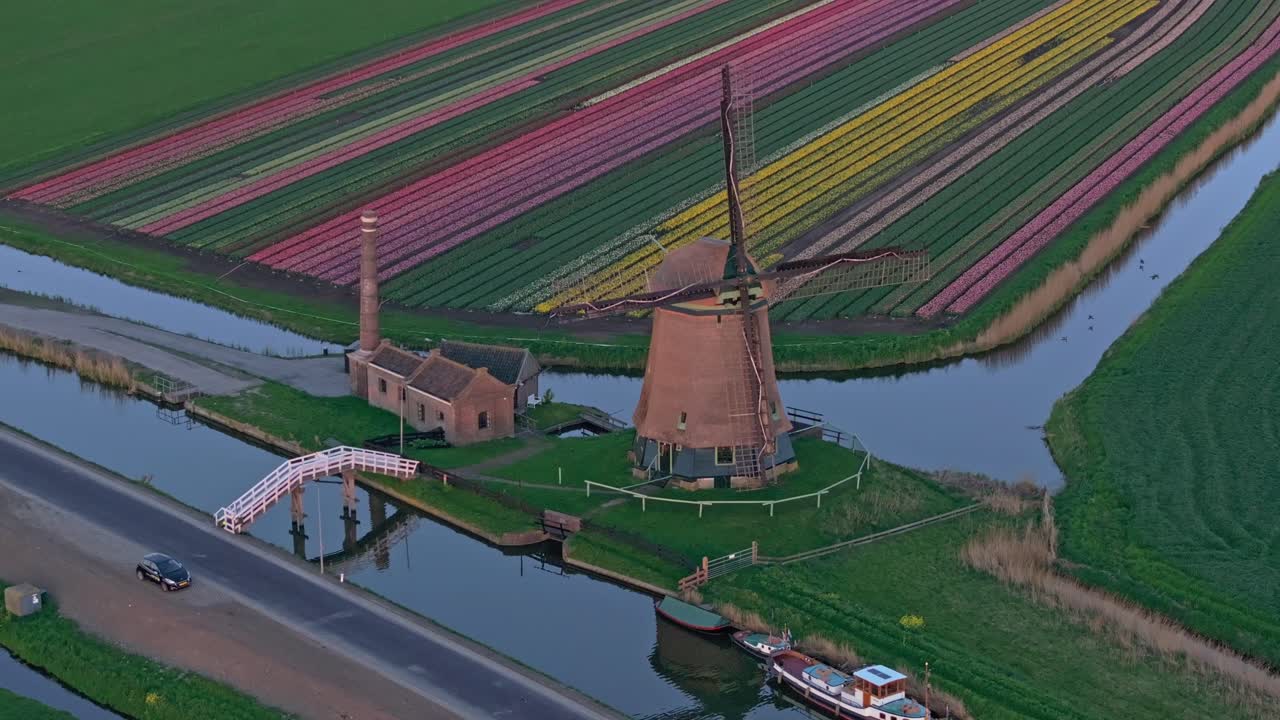Vista aerea del mulino a vento De Kaagmolen accanto a campi di tulipani all'ora d'oro
