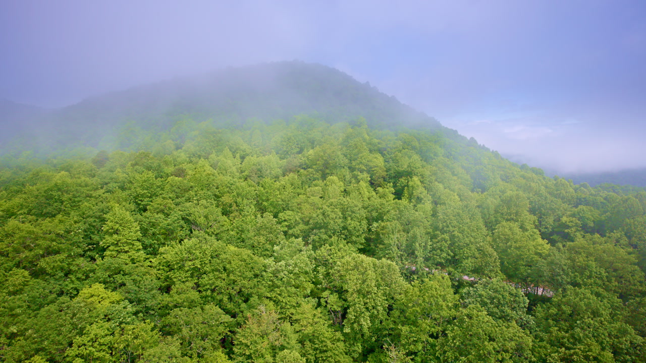 Drone flies across Smoky ranges softened by heavy mist.