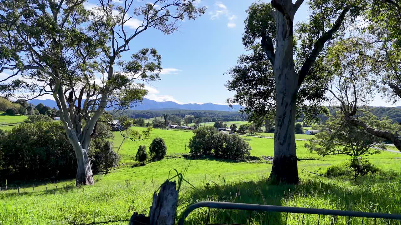 Vibrant green fields and distant mountains under a clear blue sky. Captured in Bellingen, NSW, Australia with natural lighting