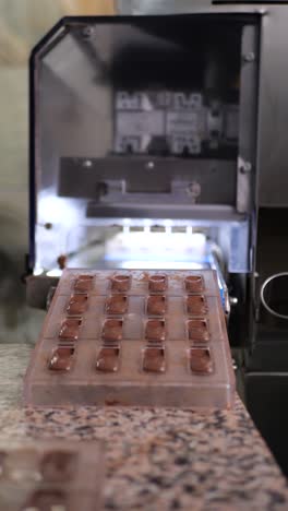 chocolate mould getting out of chocolate mould loader. chocolate production line.