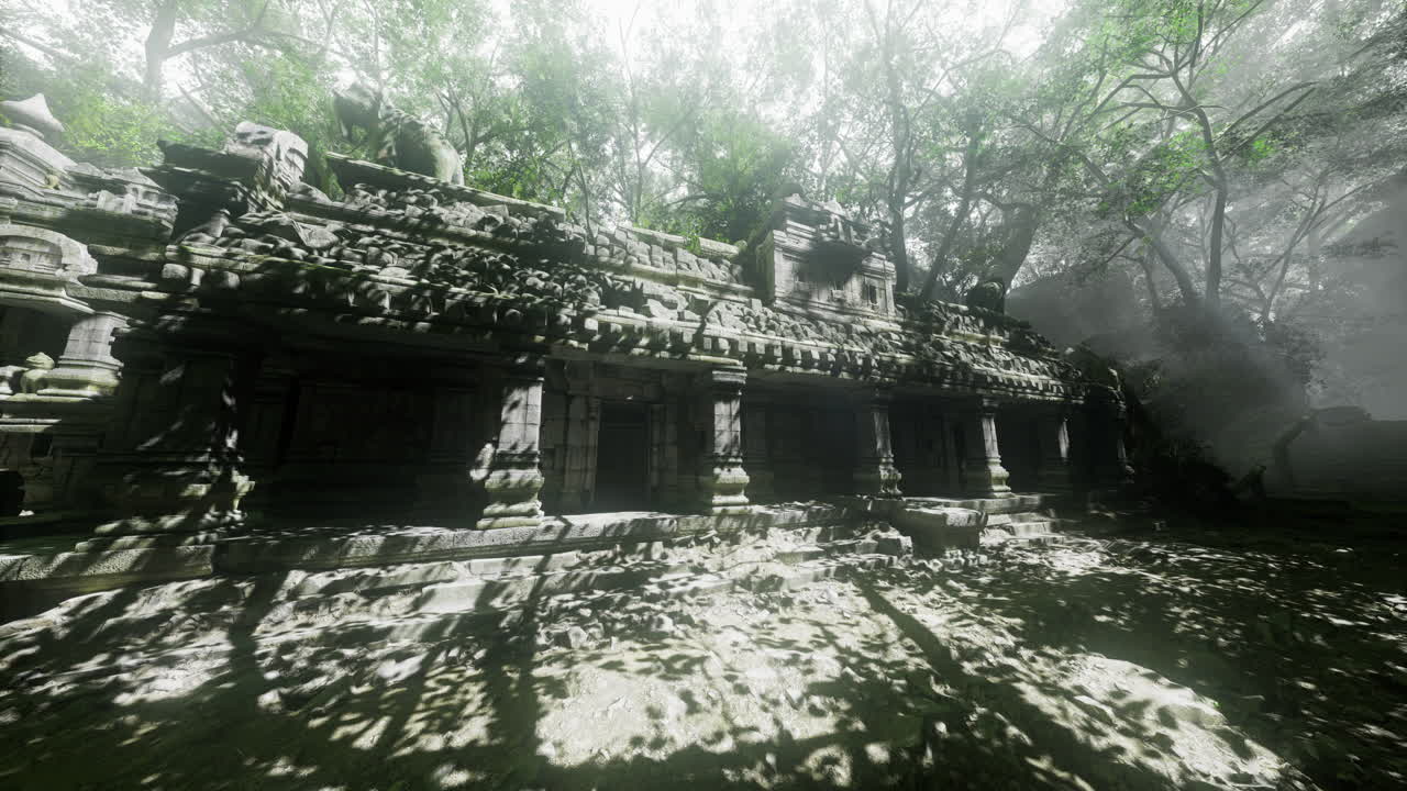 Ancient ruins hidden under dense foliage in a misty jungle setting