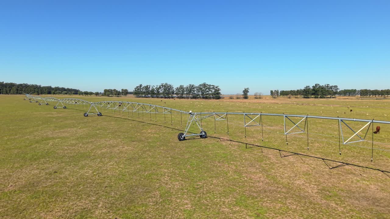 Irrigation system and grazing cattle, Food industry and water management, Argentina, Aerial view