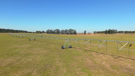 irrigation system and grazing cattle, food industry and water management, argentina, aerial view