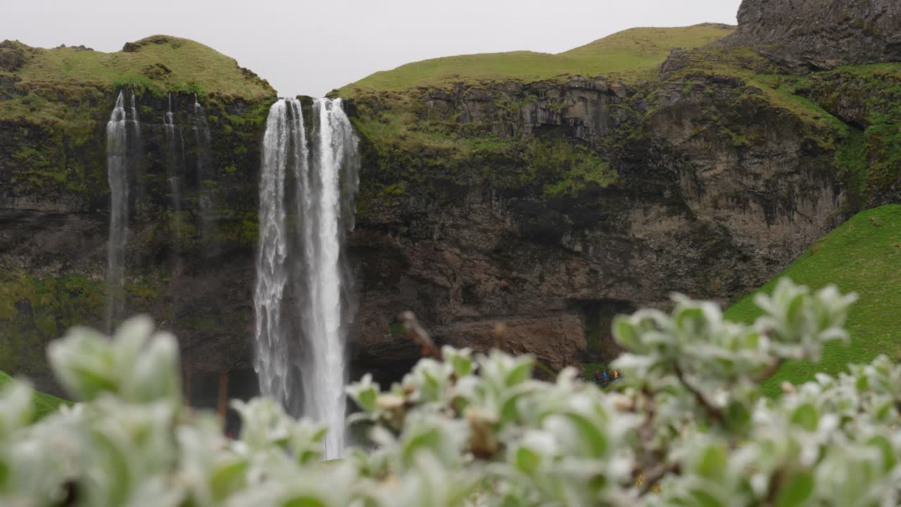la cascada de seljalandsfoss que fluye majestuosamente sobre una cresta en islandia