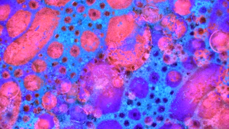 fabulous patterns