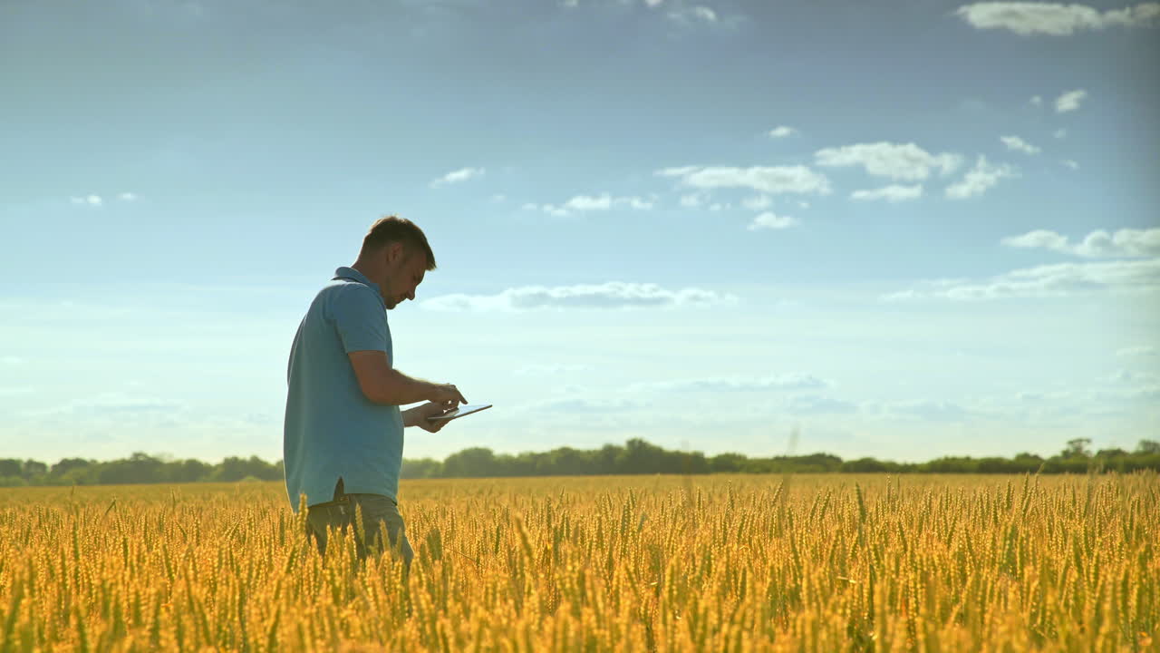 Ricercatore agricolo con tablet nel campo di grano. Ricerca agricola