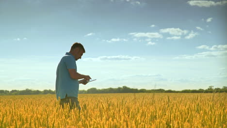 Agro-researcher-with-tablet-in-wheat-field.-Agriculture-research