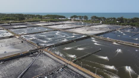 aerial view, captivity or shrimp pond in southern yogyakarta on the coast of samas