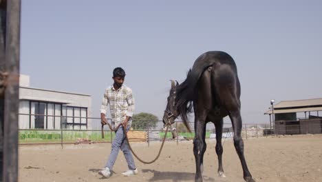 a slow-motion of a south asian man training a beautiful strong black horse in a fenced area with stable and building in the background