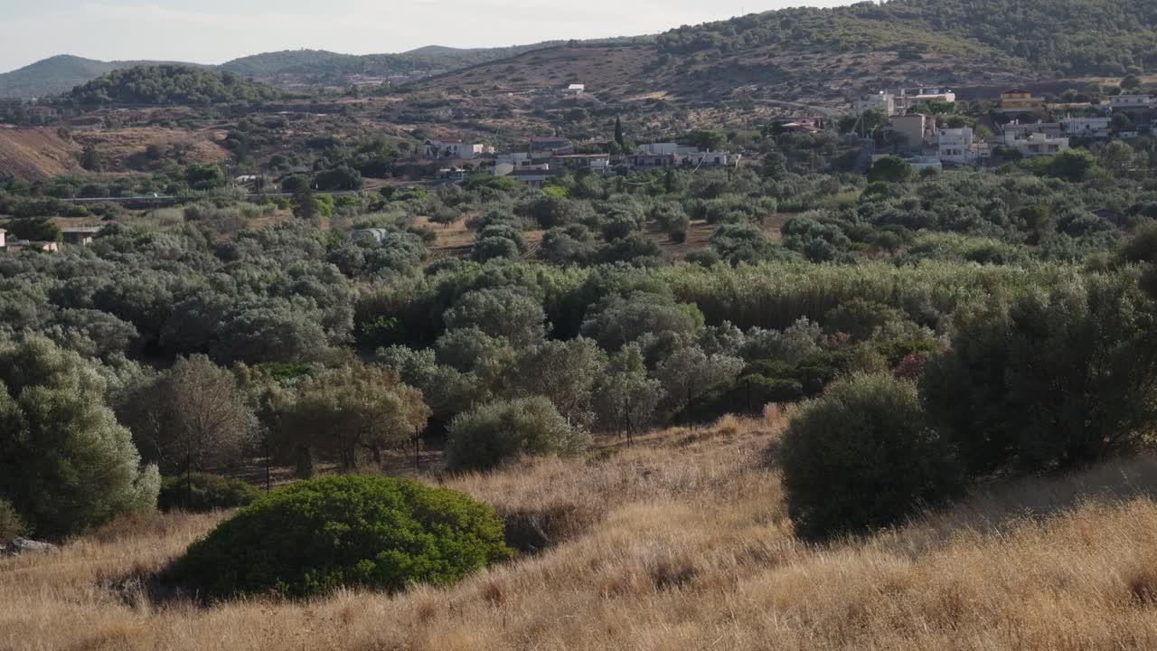 Beautiful Mediterranean scenery over olive tree landscape in Greece
