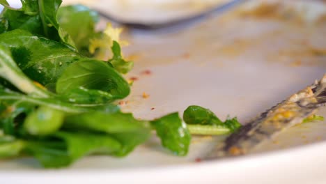 plato vacío con las sobras de ensalada
