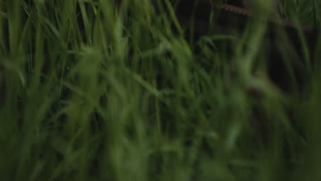 Military-Man-Lying-On-Grass,-Aiming-With-Assault-Rifle-Through-Scope